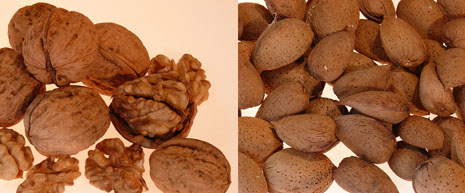 Nueces y Almendras